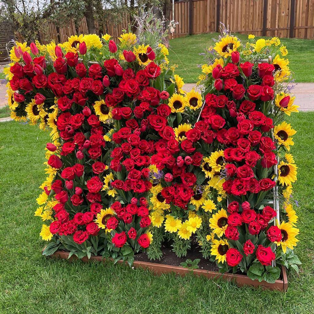 Опубликованное фото