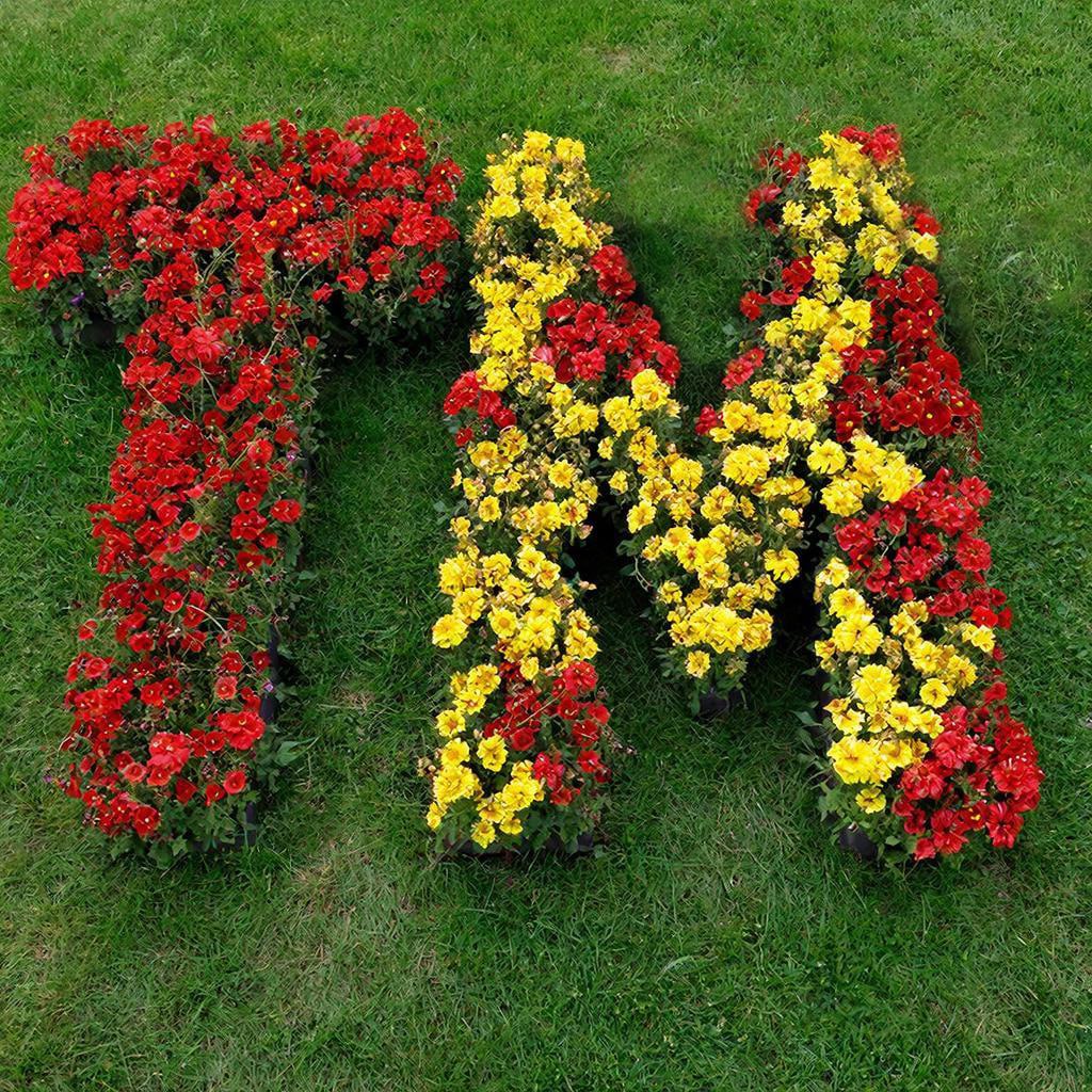 Опубликованное фото